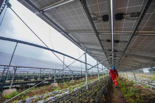 中國(guó)十三省最大光伏電站在這里！欽州康熙嶺的光伏電站能排上號(hào)了嗎？